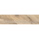 Treapta gresie MC 467 30x120 cm