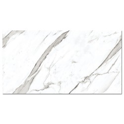 Gresie MC 809 60x120