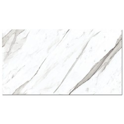 Gresie MC 784 60x120