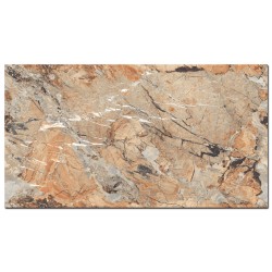 Gresie MC 811 60x120