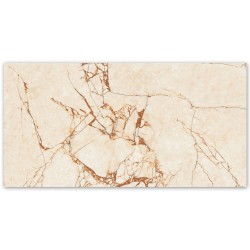 Gresie MC 821 60x120