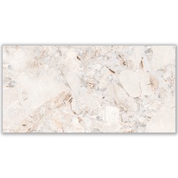 Gresie MC 894 60x120