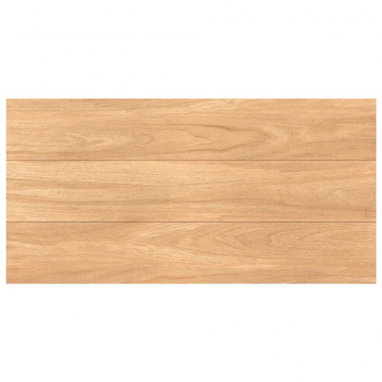 Gresie MC 912 60x120