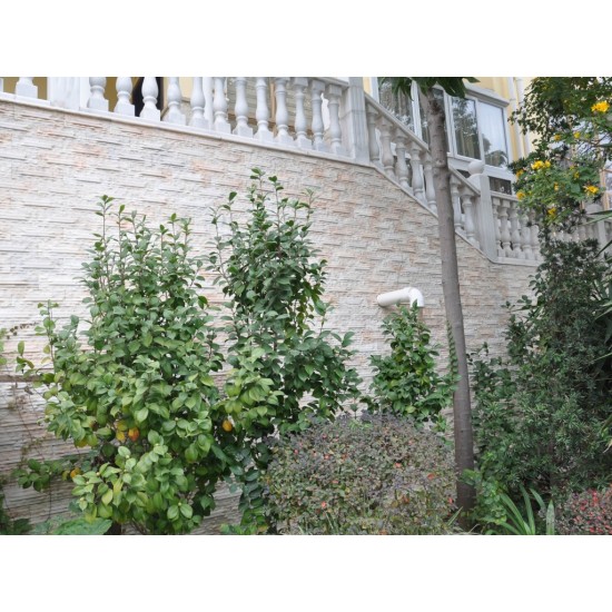 Piatra naturala SJ014 5x20