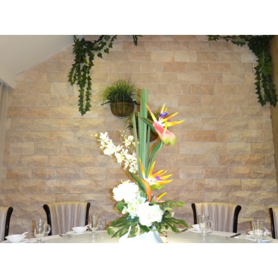 Piatra naturala MC16 10x20 cm