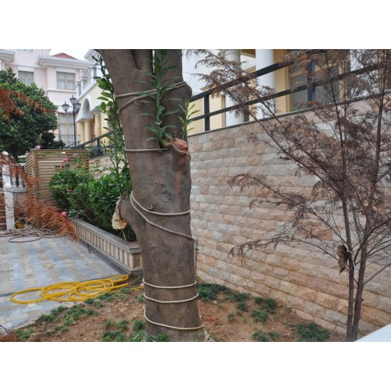 Piatra naturala MC16 10x20 cm