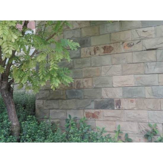 Piatra naturala MC 22 10x20 cm