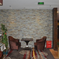 Piatra naturala ZT001 15x60 cm