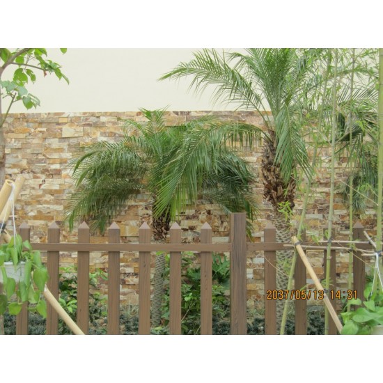 Piatra naturala ZT001 15x60 cm