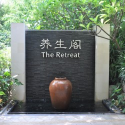 Piatra naturala ZT004 15x60 cm