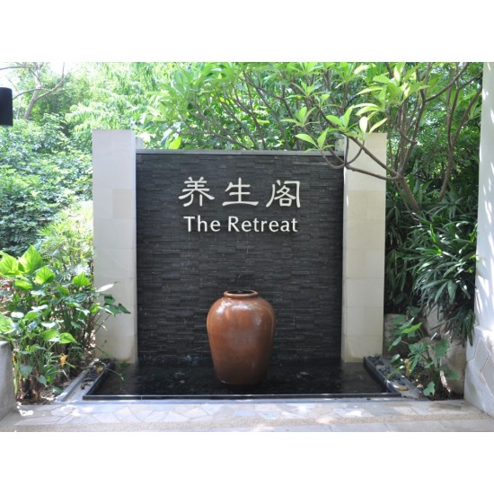 Piatra naturala ZT004 15x60 cm