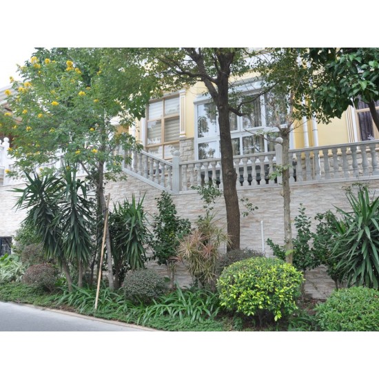 Piatra naturala SJ003 10x30 cm