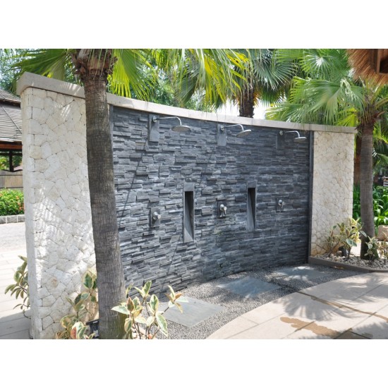 Piatra naturala ZT028 15x60