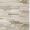 Piatra naturala CS009 15x60