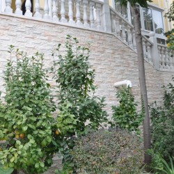 Piatra naturala SJ014 5x20 cm