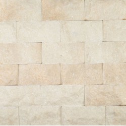 Piatra naturala MC16A 10X20 cm