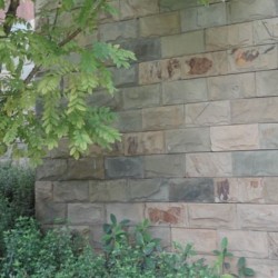 Piatra naturala MC22 10x20 cm