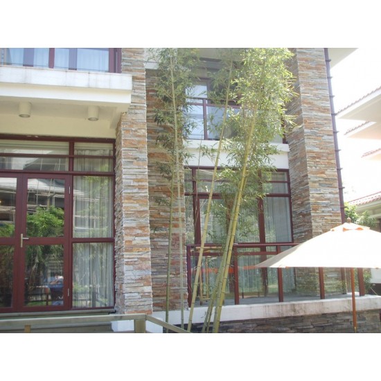 Piatra naturala ZT001 15x60