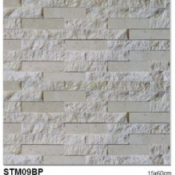 Piatra naturala STM09BP 15x60