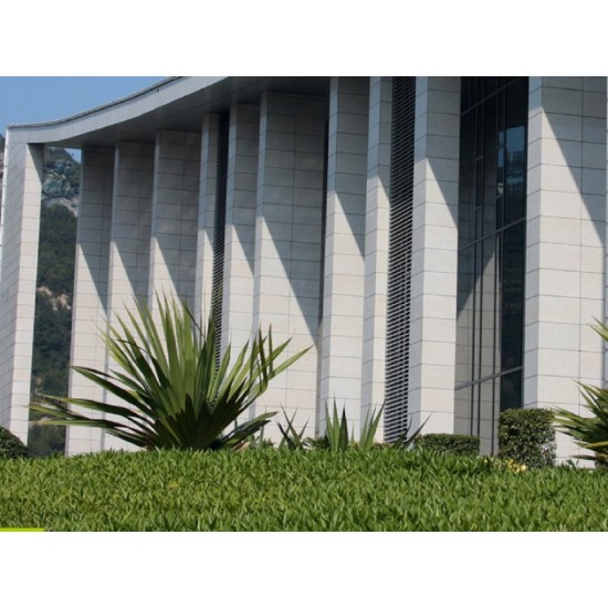 Granit G603 Lucios 60x30x1.5 cm