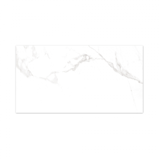 Faianta MC 361 30x60