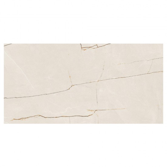 Gresie MC 222 60X120 vitrificata