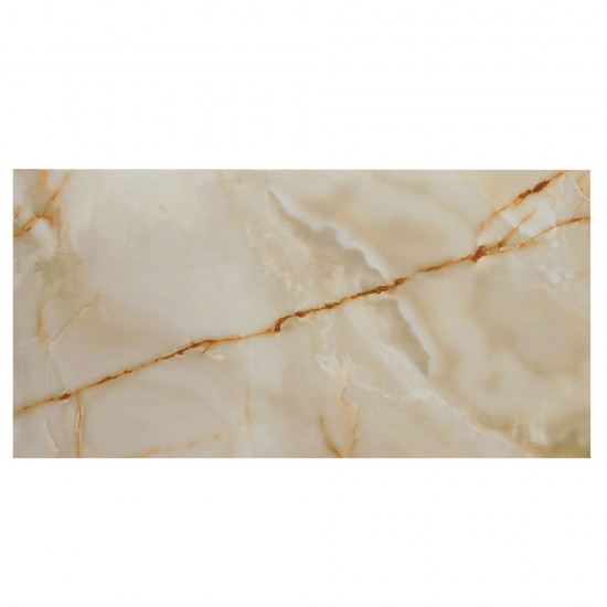 Gresie MC 216 60X120 vitrificata