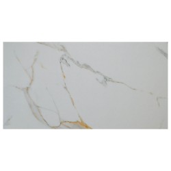 Gresie MC 221 60X120 vitrificata